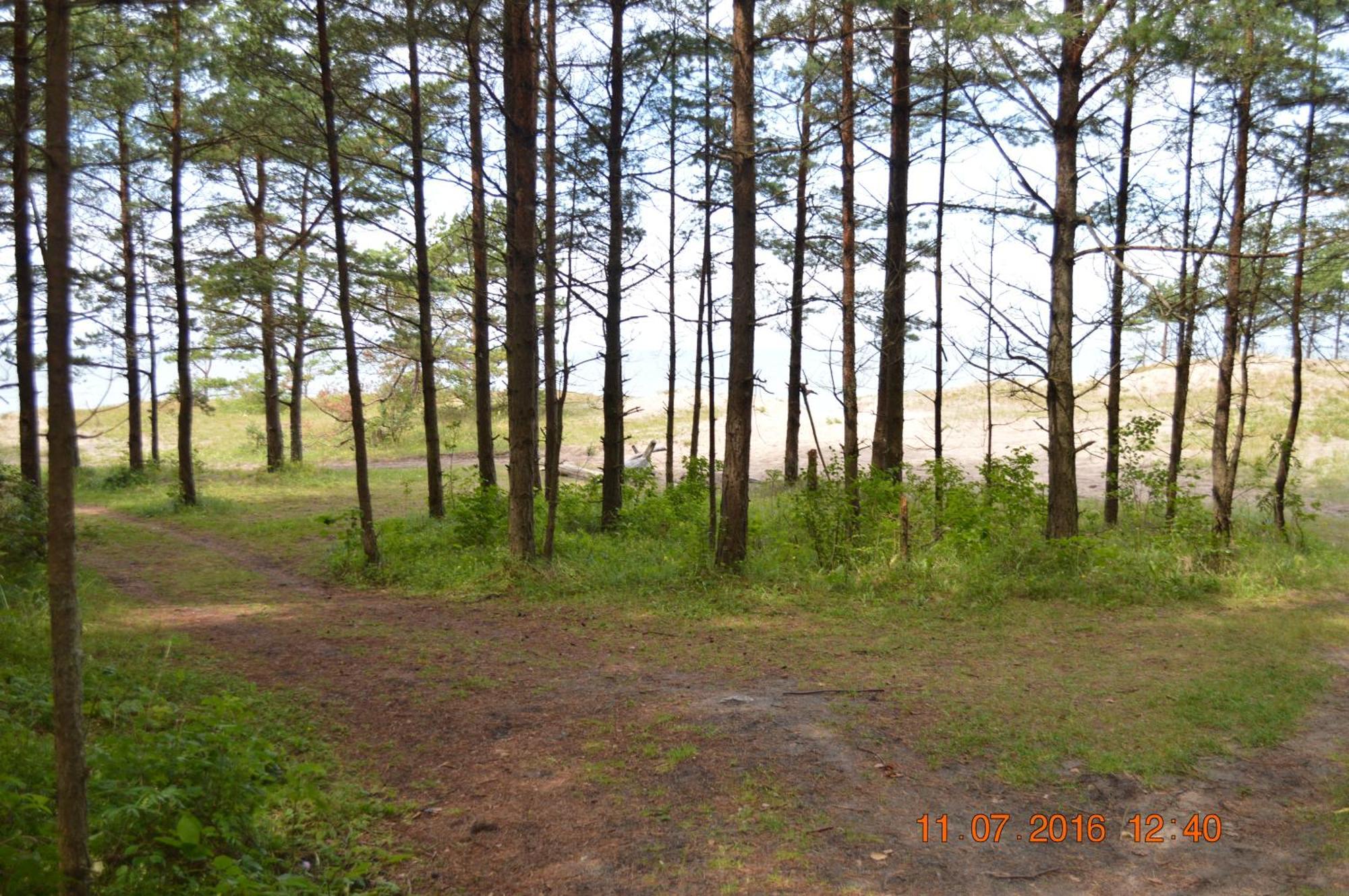 Kempings Videnieki Liepene Exterior foto