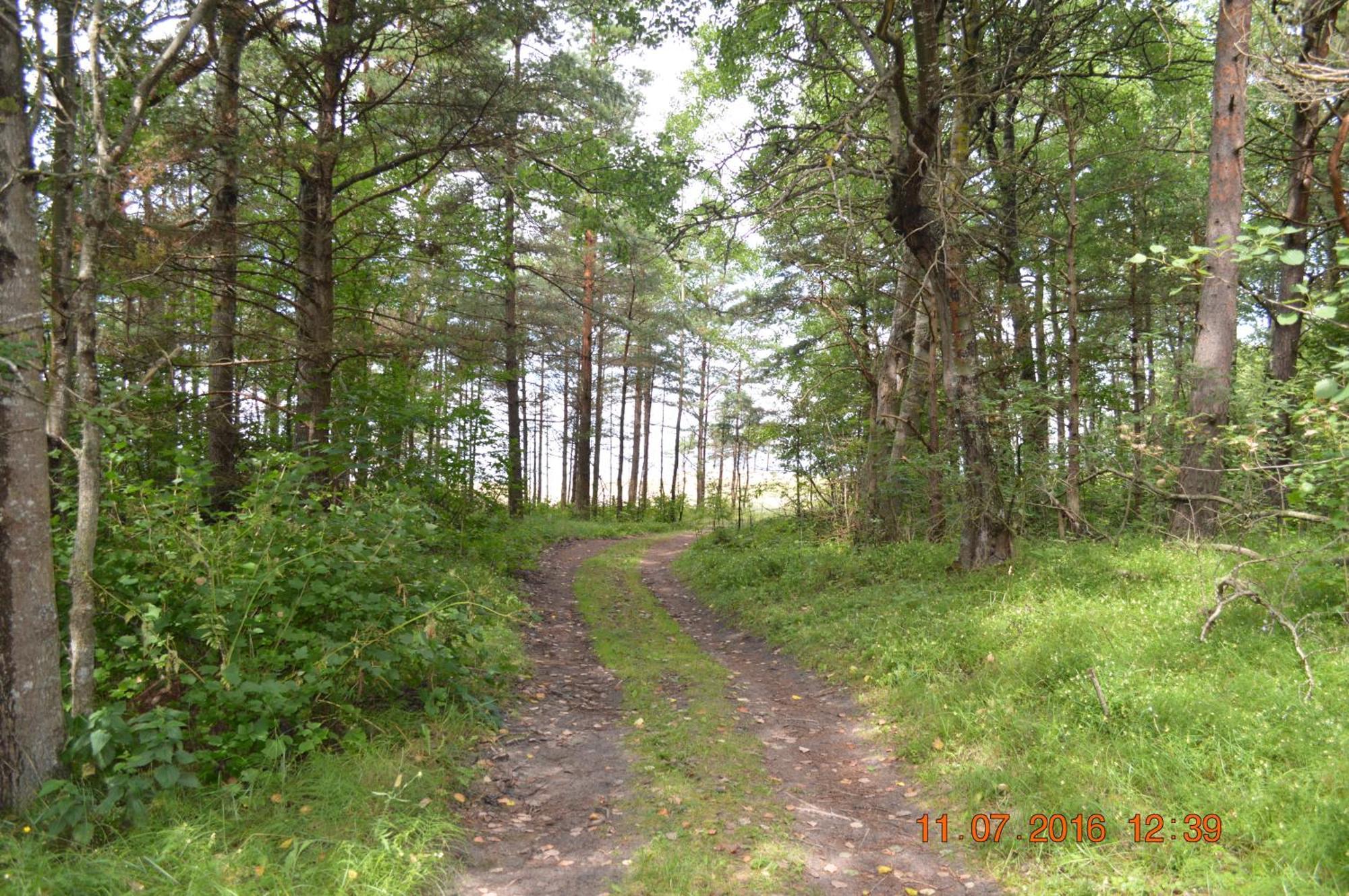 Kempings Videnieki Liepene Exterior foto